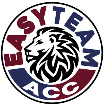 Accademia Easy Team